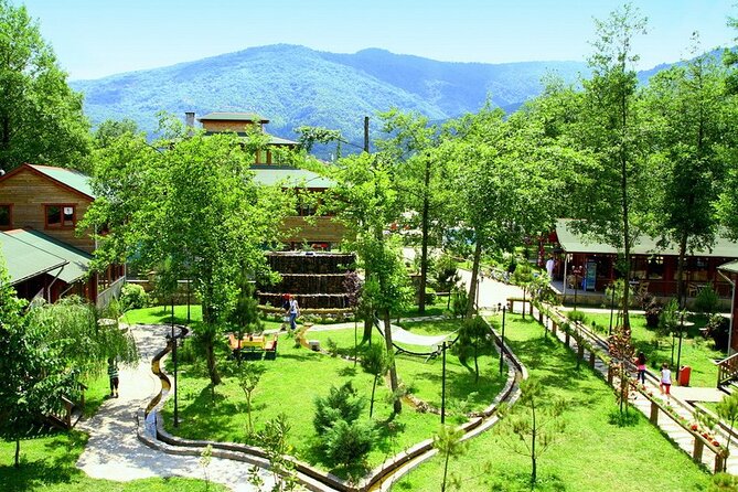 Full-Day Masukiye and Surrounds Nature Tour From Istanbul - Tour Overview