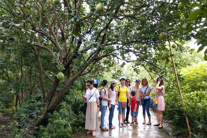 Full-Day Mekong Delta and My Tho Tour From Ho Chi Minh City - Tour Pricing and Booking Details