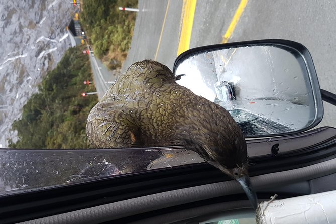 Full-Day Milford Sound Extraordinaire Tour From Te Anau - Pricing and Booking