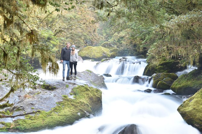 Full-Day Milford Sound Extraordinaire Tour From Te Anau - Spectacular Wildlife and Photo Opportunities