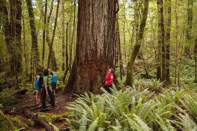 Full-Day Milford Sound Tour With Cruise and Walks From Te Anau - Weather and Nature