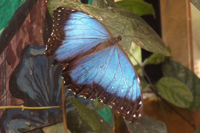 Full-Day Mindo Magical Town Tour Small Group - Booking Process and Policy