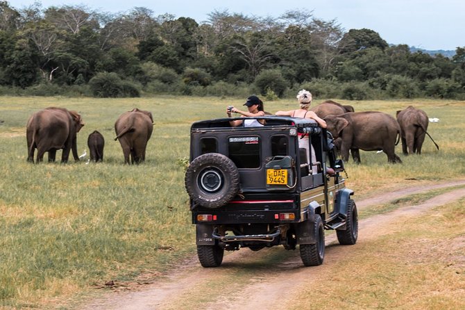 Full-Day Minneriya and Kaudulla National Parks Private Safari - Meeting and Pickup Details