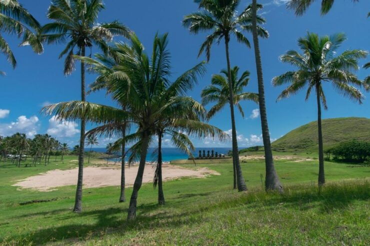 Full Day Moai and Mistery - Akahanga Archaeological Marvel