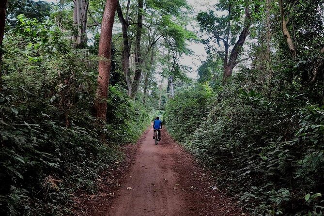 Full-Day Monkey Forest Cycling Adventure From Moshi - Booking Details