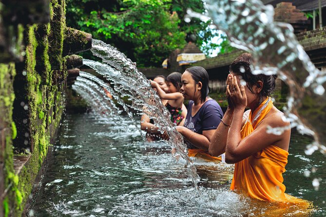 Full Day Monkey Forest Rice Terraces Trek to Sangeh and Purification - Trekking Itinerary Overview