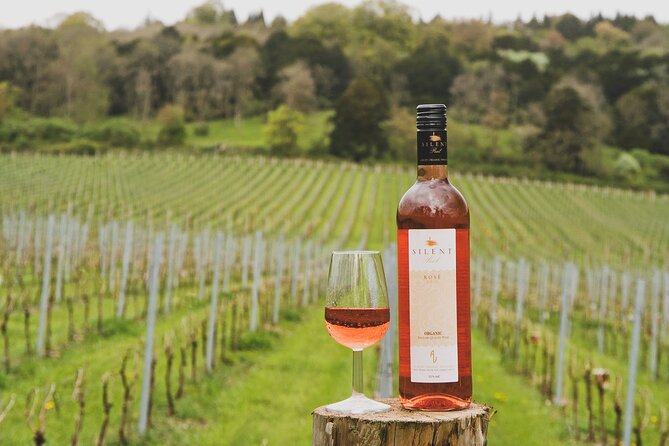 Full-Day Montserrat Tour From Barcelona With Wine & Catalan Meal - Transportation and Guide