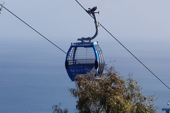 Full-Day Mornington Peninsula Sightseeing Tour From Melbourne - Common Questions