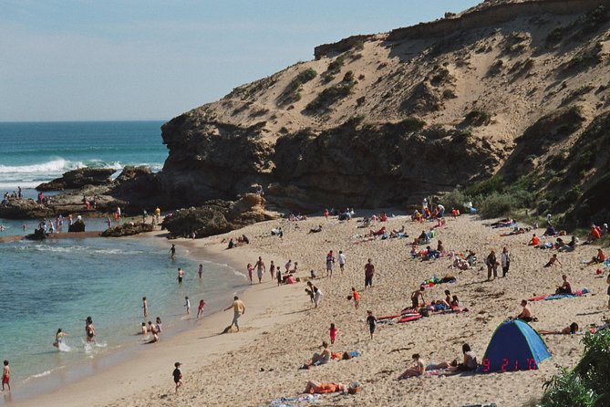 Full-Day Mornington Peninsula Sightseeing Tour From Melbourne - The Sum Up