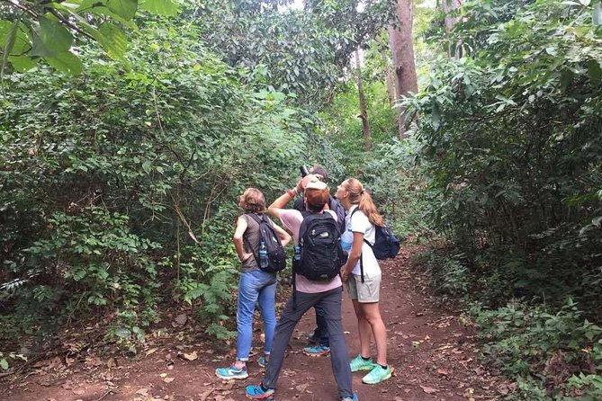 Full-Day Moshi Private Forest Walk and Local Market Tour - Reviews