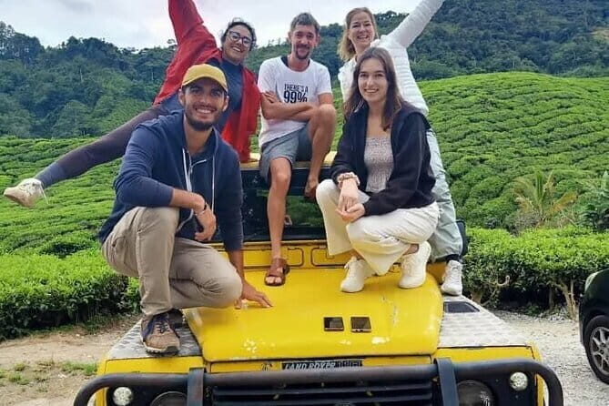 Full Day Mossy Forest Experience - Frequently Asked Questions