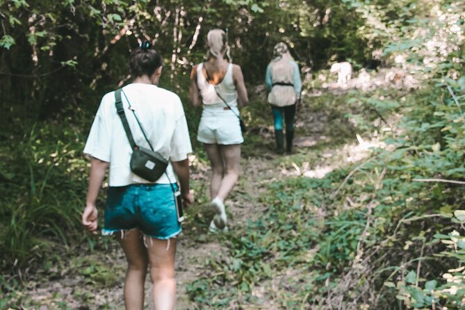 Full-Day Motovun Truffle Hunt With Lunch and Liqueur Tasting - Included Services