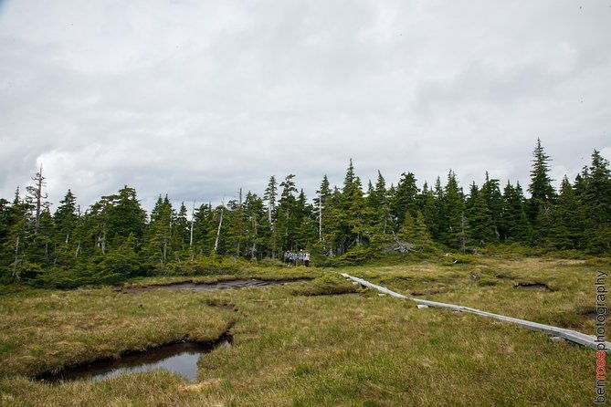 Full-Day Mount Riley Hike from Haines - Good To Know