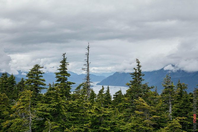 Full-Day Mount Riley Hike from Haines - Practical Details and Tips