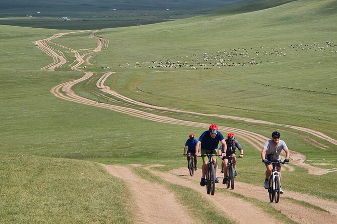 Full Day Mountain Biking Tour in Khan Khenty National Park - Environmental Conservation Efforts