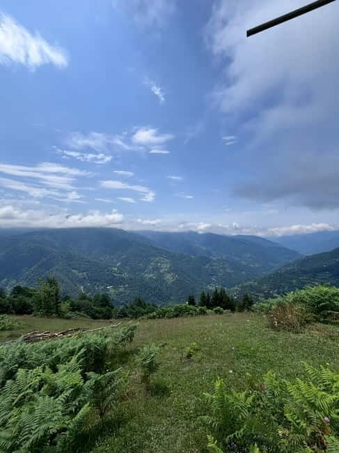 Full Day Mountine Tours from Batumi - Why Choose This Full Day Mountain Tour?