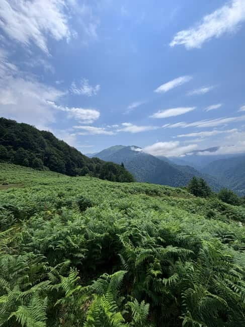 Full Day Mountine Tours from Batumi - What Makes This Tour Stand Out?