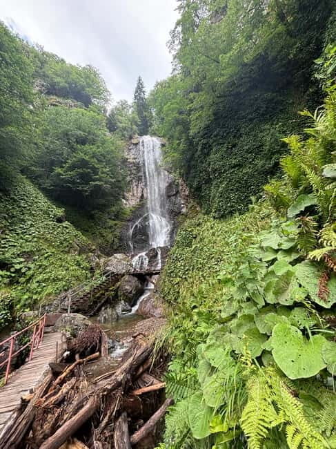 Full Day Mountine Tours from Batumi - The Sum Up