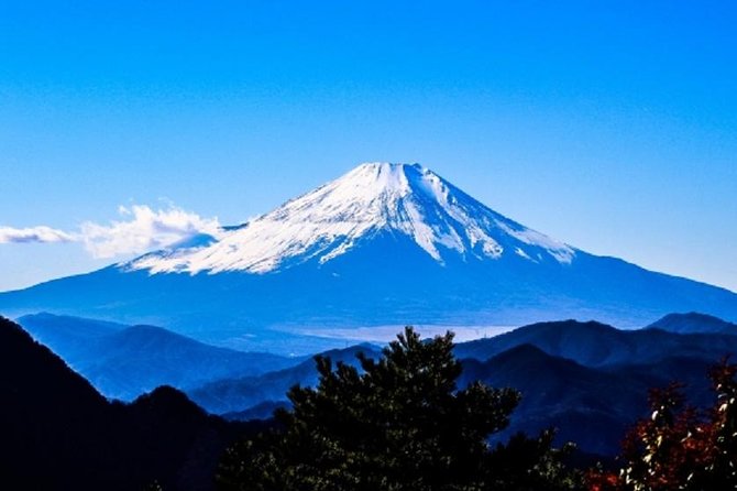 Full Day Mt.Fuji Chartered Taxi Tour - Important Tips and Recommendations