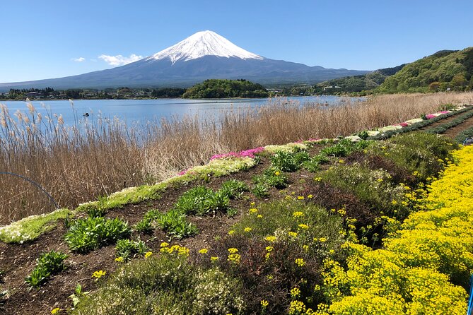 Full Day Mt.Fuji & Gotemba Premium To-And-From Tokyo, up to 12 - Overview