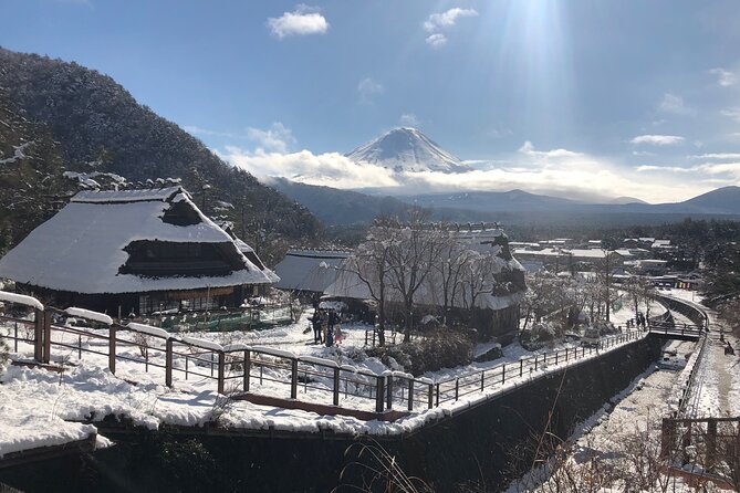 Full Day Mt.Fuji & Gotemba Premium To-And-From Tokyo, up to 12 - Meeting and Pickup