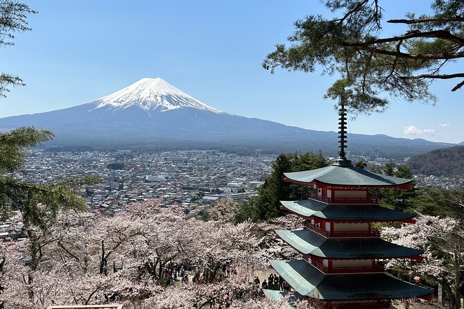 Full Day Mt.Fuji & Hakone To-And-From Tokyo / Kanagawa up to 12 - Travel Logistics