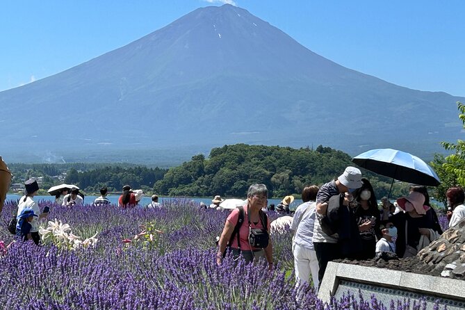 Full Day Mt.Fuji & Hakone To-And-From Tokyo / Kanagawa up to 12 - Customer Reviews