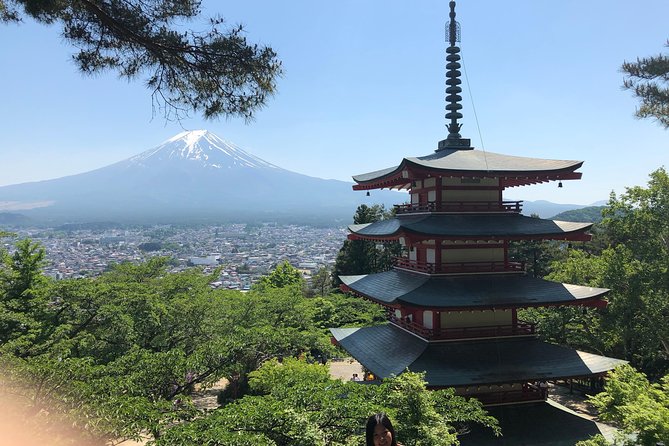 Full Day Mt.Fuji & Hakone To-And-From Tokyo / Kanagawa up to 12 - Booking Details