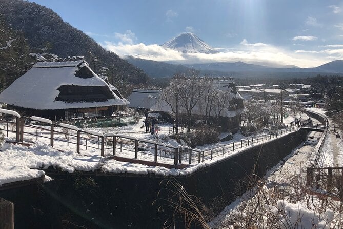 Full Day Mt.Fuji Tour To-And-From Yokohama&Tokyo, up to 12 Guests - Contact Information