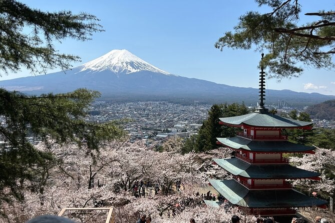 Full Day Mt.Fuji Tour To-And-From Yokohama&Tokyo, up to 12 Guests - Common Questions