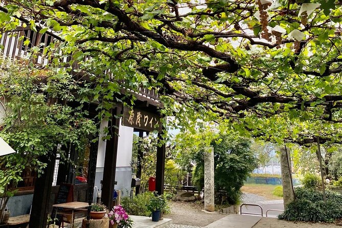 Full-Day Mt. Fuji & Wine and Food Boutique Winery Hopping Tour - Lunch Experience
