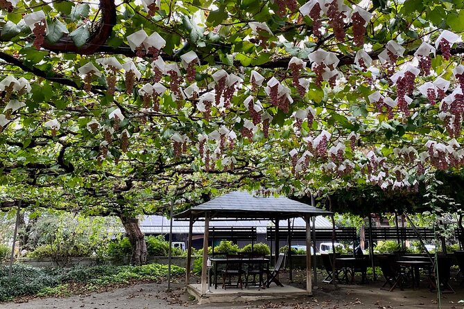 Full-Day Mt. Fuji & Wine and Food Boutique Winery Hopping Tour - Planning Your Itinerary