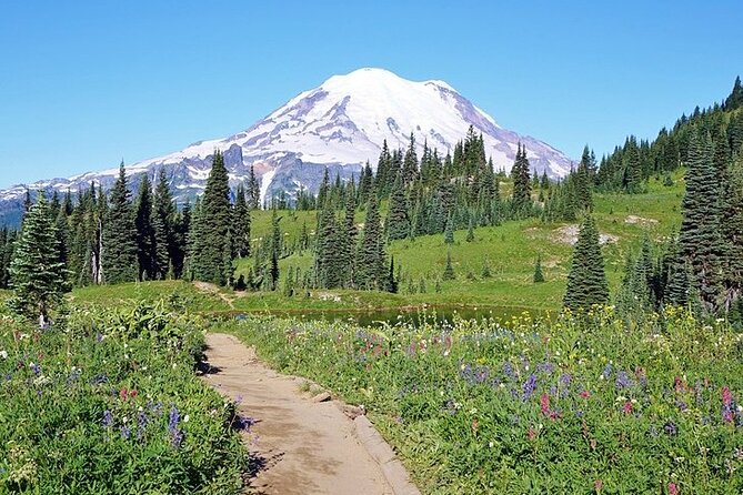 Full-Day Mt Rainier National Park Private Tour in SUV - Pricing and Booking