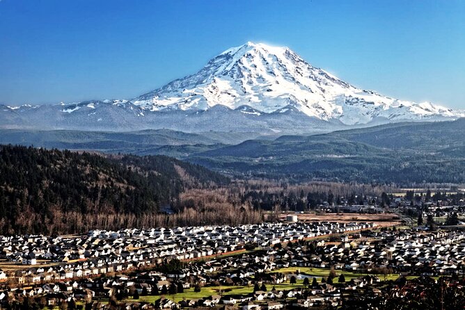 Full-Day Mt Rainier National Park Private Tour in SUV - The Sum Up