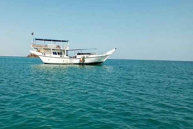 Full Day Musandam Cruise With Lunch From Dubai - Transportation and Logistics