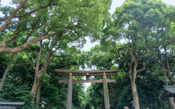 Full-Day Muslim-Friendly Tour of Tokyo - Salat at Tokyo Camii