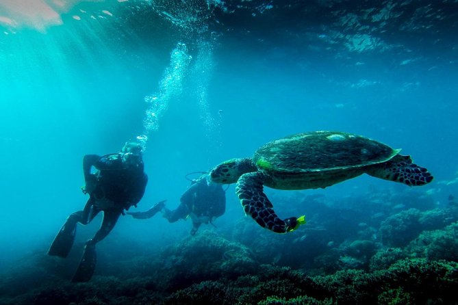 Full-Day Mussandam Cruise With Lunch Dibba - Traveler Photos and Reviews of the Cruise