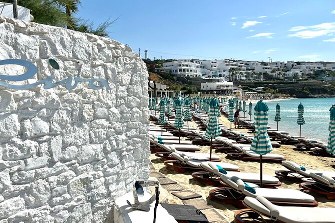 Full Day Mykonos Delos Rinia - With a Riva Experience - Terms and Conditions