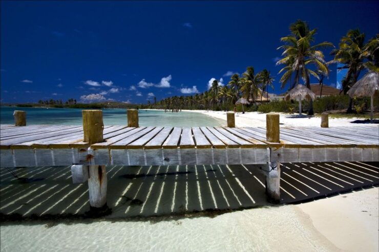 Full Day Nature Expedition to Contoy Island and Isla Mujeres - Tour Highlights