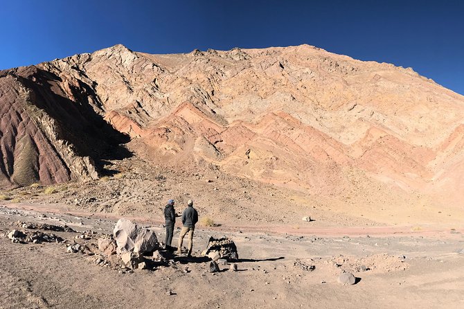 Full Day Nevado Tres Cruces National Park - Booking Information