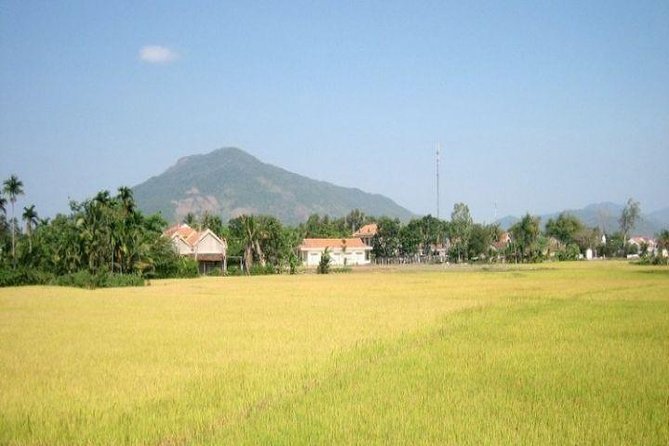 Full Day Nha Trang City and Cai River Tour - Questions and Support