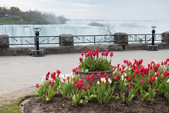 Full-Day Niagara Falls Tour From Toronto - Tour Schedule and Delays