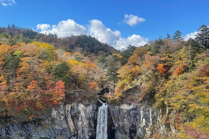Full Day Nikko Private Tour With Guide (Natural Beauty of Japan). - The Sum Up