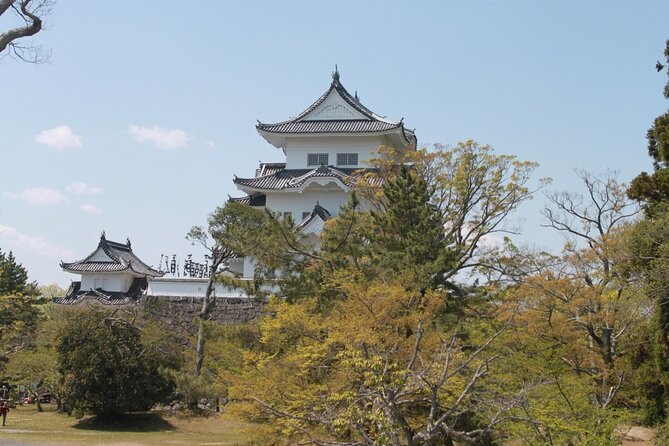 Full-Day Ninja Unique Experience in Iga - Exploring the Ninja Museum