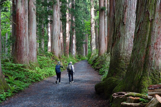 Full Day North Nagano Hiking Experience - Booking and Confirmation Details