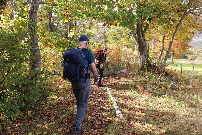 Full Day North Nagano Hiking Experience - Participant Requirements and Accessibility