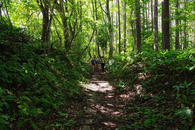 Full Day North Nagano Hiking Experience - Common Questions