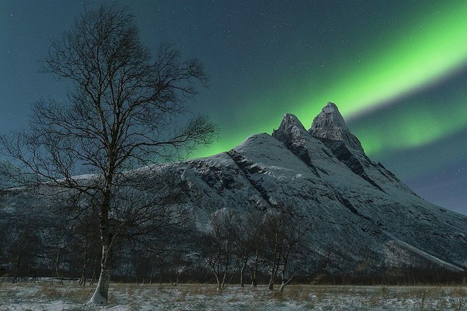 Full-Day Northern Lights Trip From Tromsø - Suggestions and Additional Details