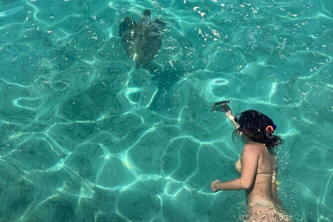 Full Day Nouméa Signal Island Turtle Tour - Quick Introduction