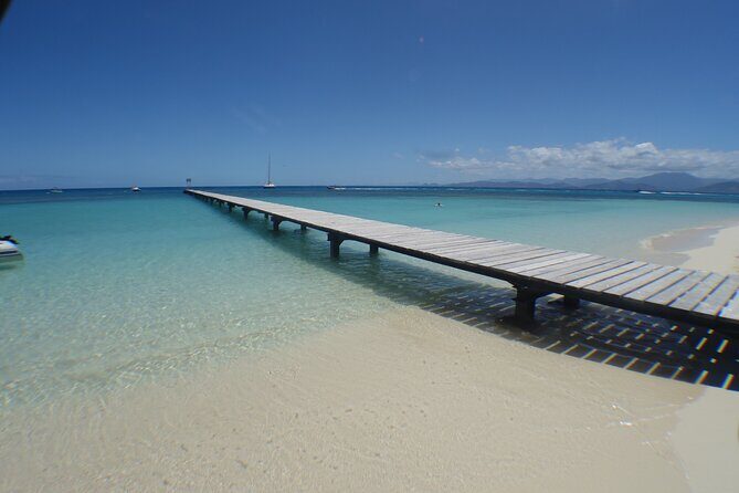 Full Day Nouméa Signal Island Turtle Tour - Good To Know
